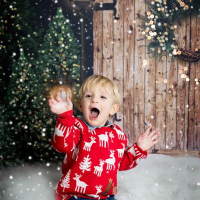 Magical Christmas
